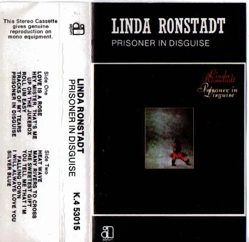 Prisoner in Disguise