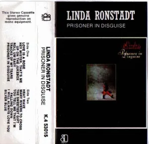 Prisoner in Disguise