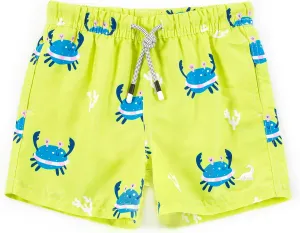 SURF CUZ Surfcuz Little Boys Swim Trunks UPF 50  Toddler Beach Shorts Swimsuit Kids Quick Dry Swimwear